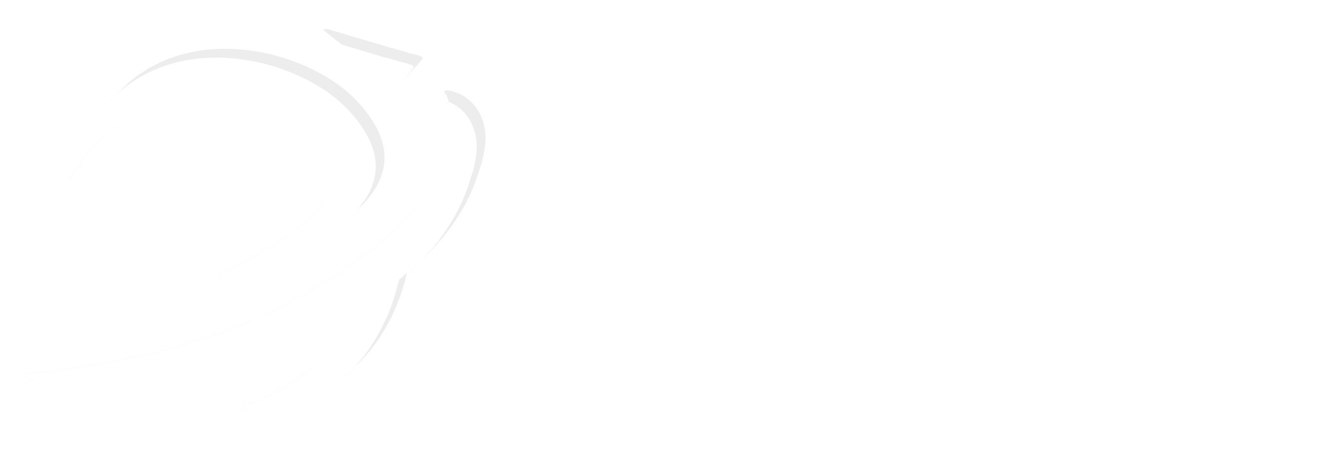 Logo Sprint